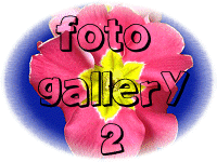 Foto Gallery 2