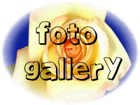 Foto Gallery