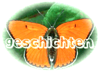 Selbstgeschriebene Geschichten