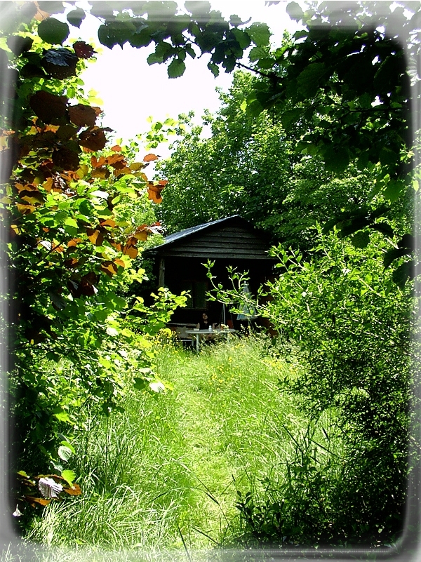 Unser Gartenhaus im Sommer